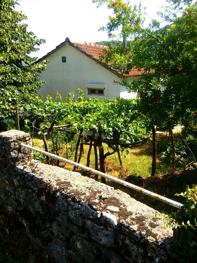 Country House "Lipa" Komarno Virpazar Bagian luar foto