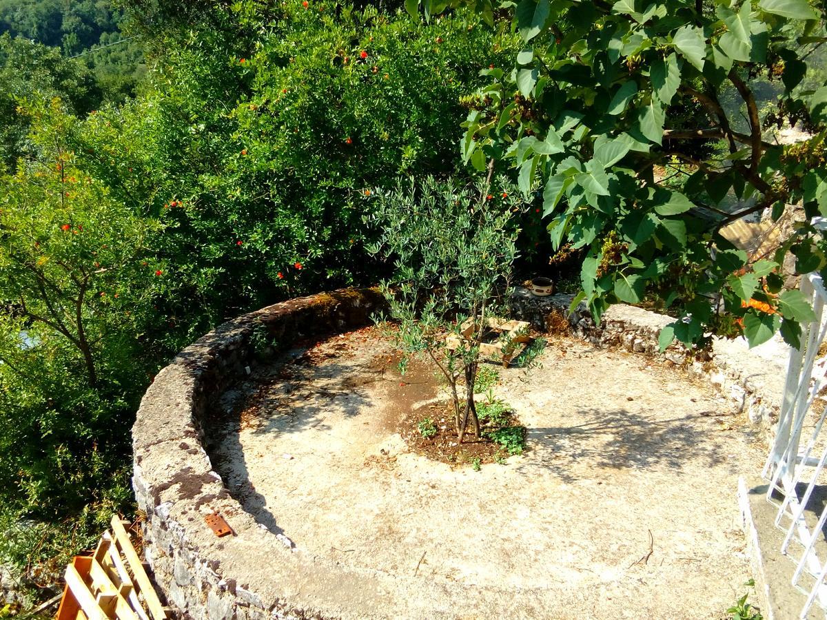 Country House "Lipa" Komarno Virpazar Bagian luar foto