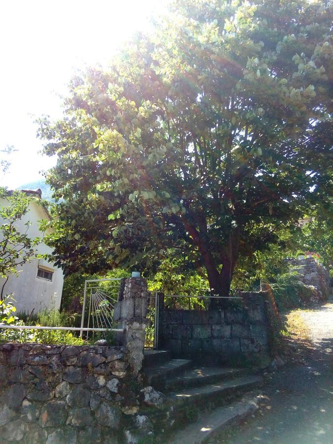 Country House "Lipa" Komarno Virpazar Bagian luar foto