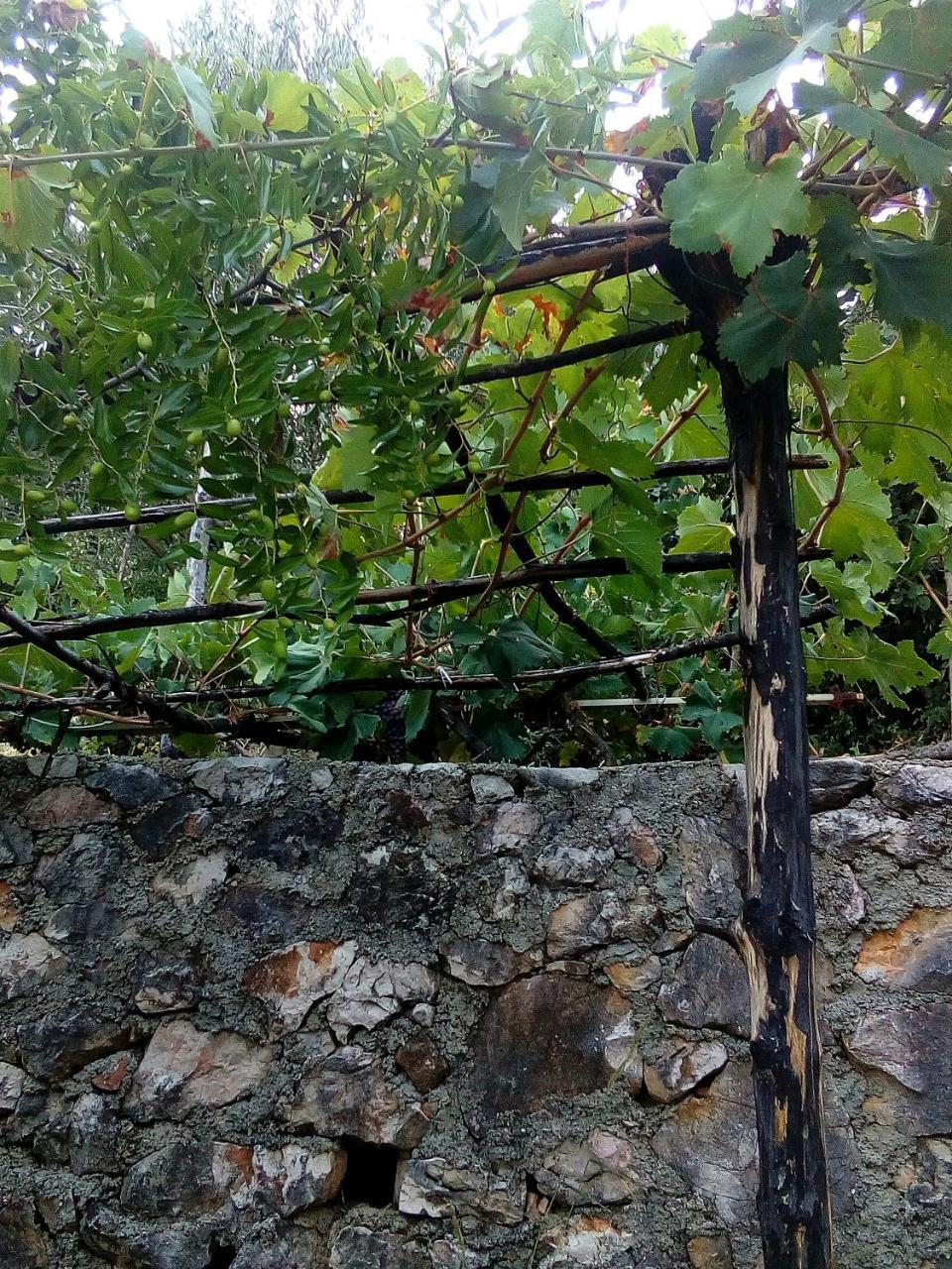 Country House "Lipa" Komarno Virpazar Bagian luar foto