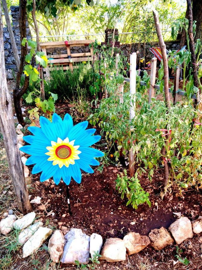Country House "Lipa" Komarno Virpazar Bagian luar foto