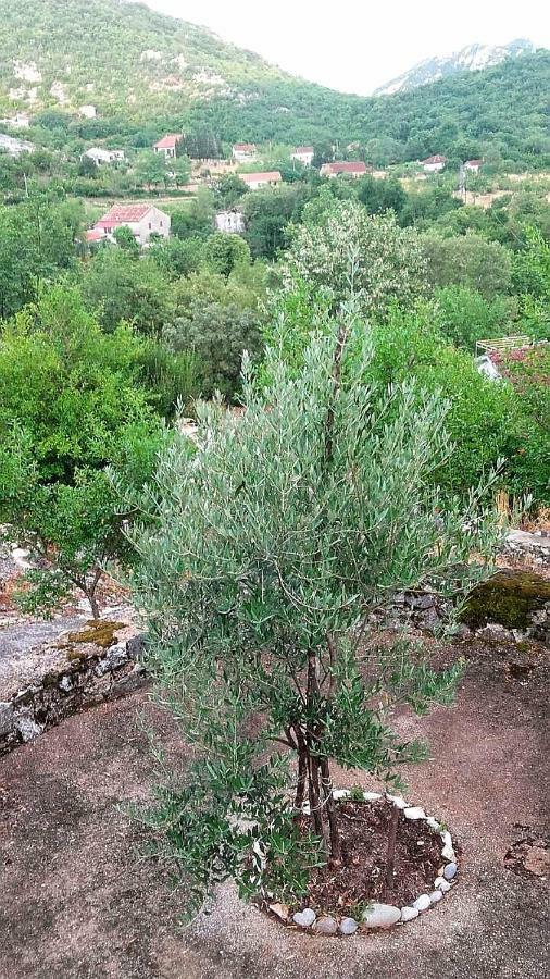 Country House "Lipa" Komarno Virpazar Bagian luar foto