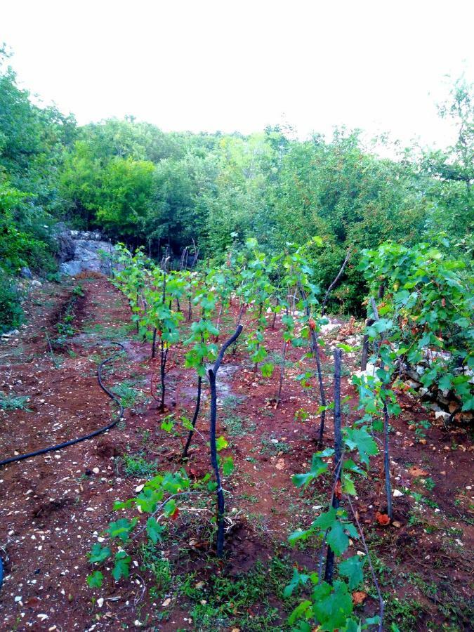 Country House "Lipa" Komarno Virpazar Bagian luar foto